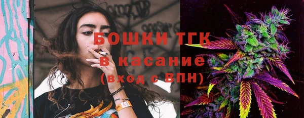 тгк Бронницы