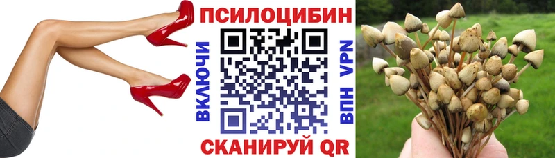 shop состав  mega ссылки  Бородино  как найти наркотики  Галлюциногенные грибы ЛСД 